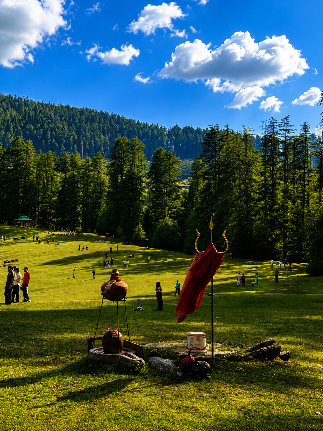 Shangarh Himachal Pradesh Travel Guide: Best Time, How to Reach & Hidden Places