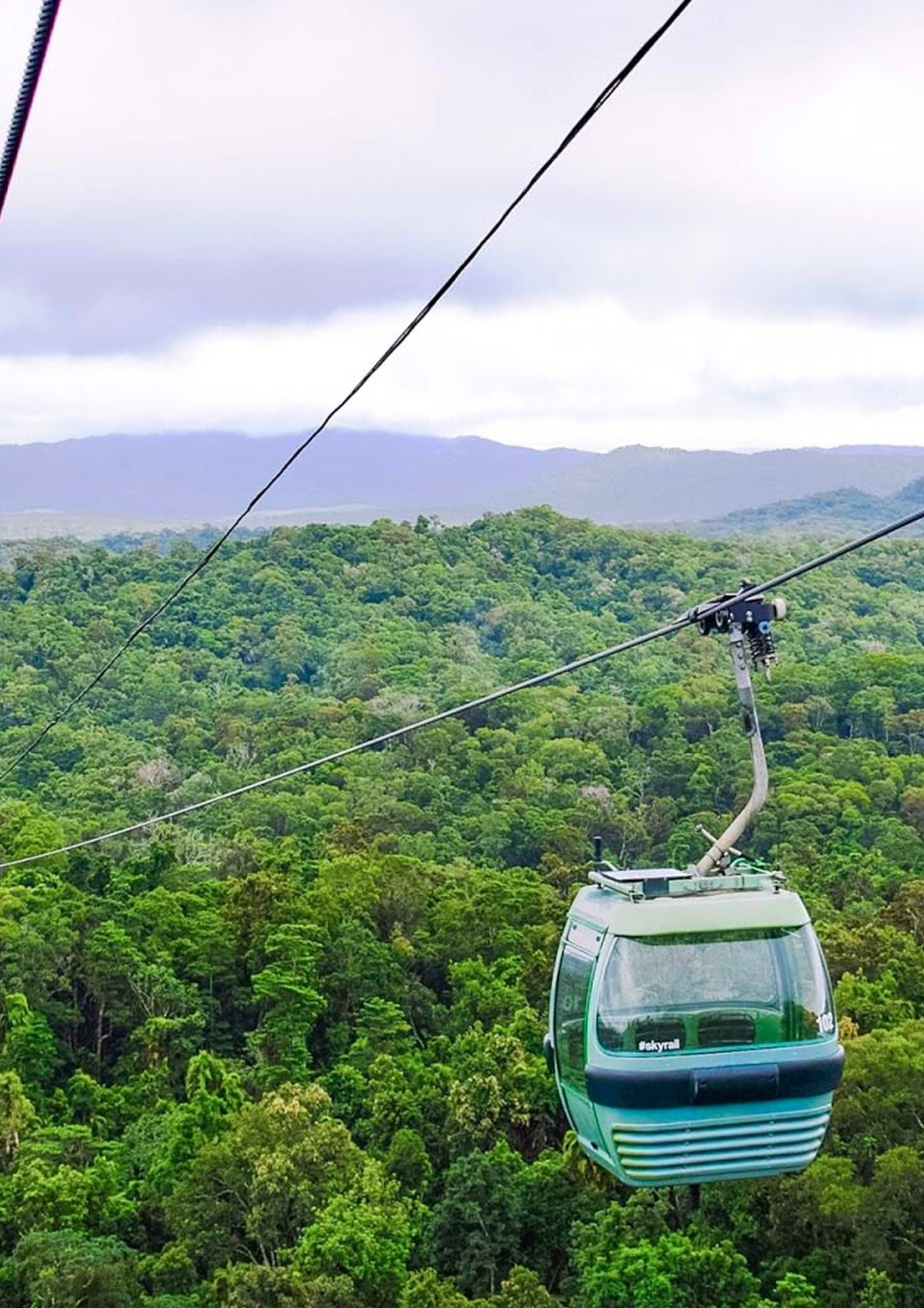 Kuranda skyrail & pamagirri experience