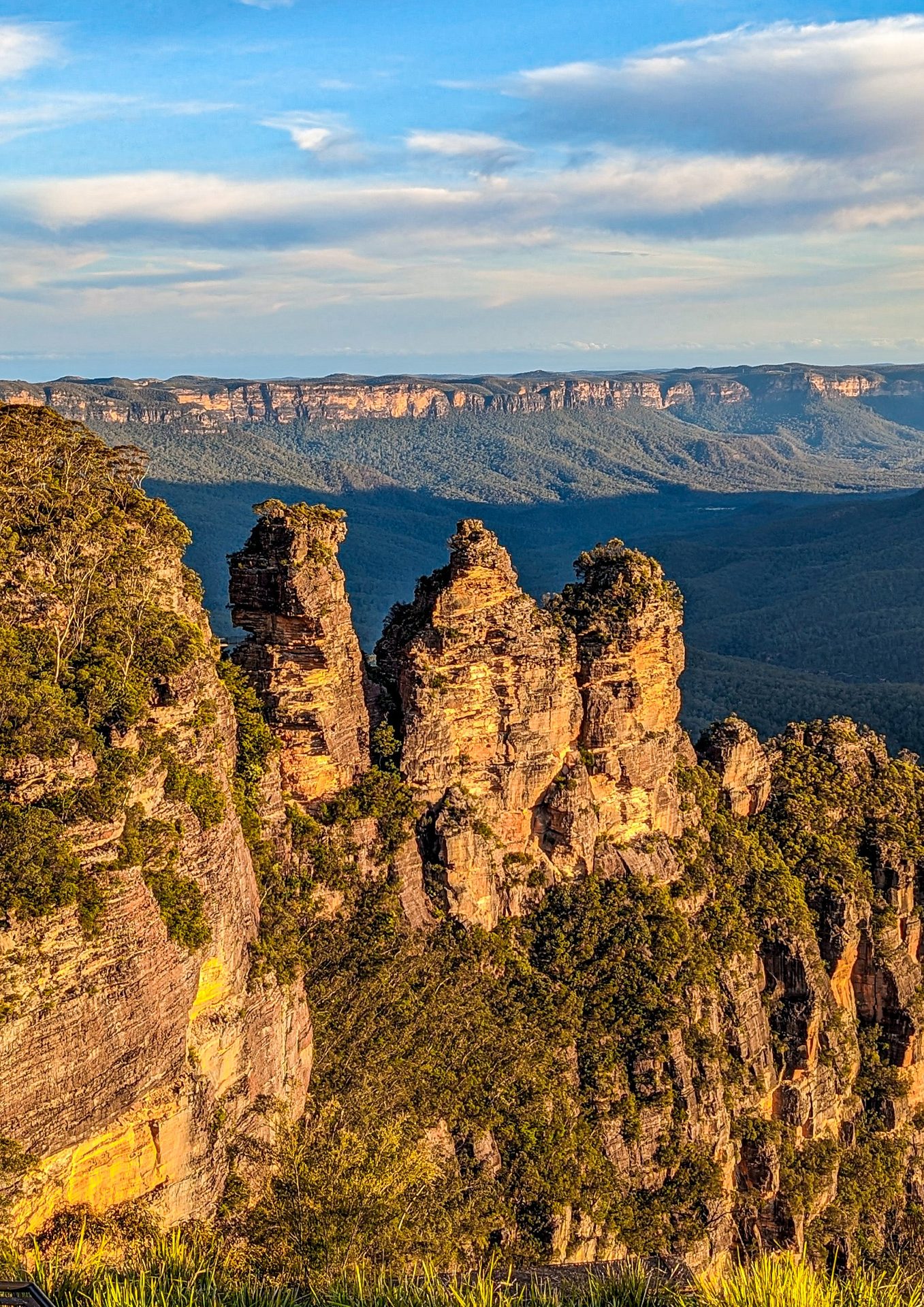blue mountains & featherdale tour