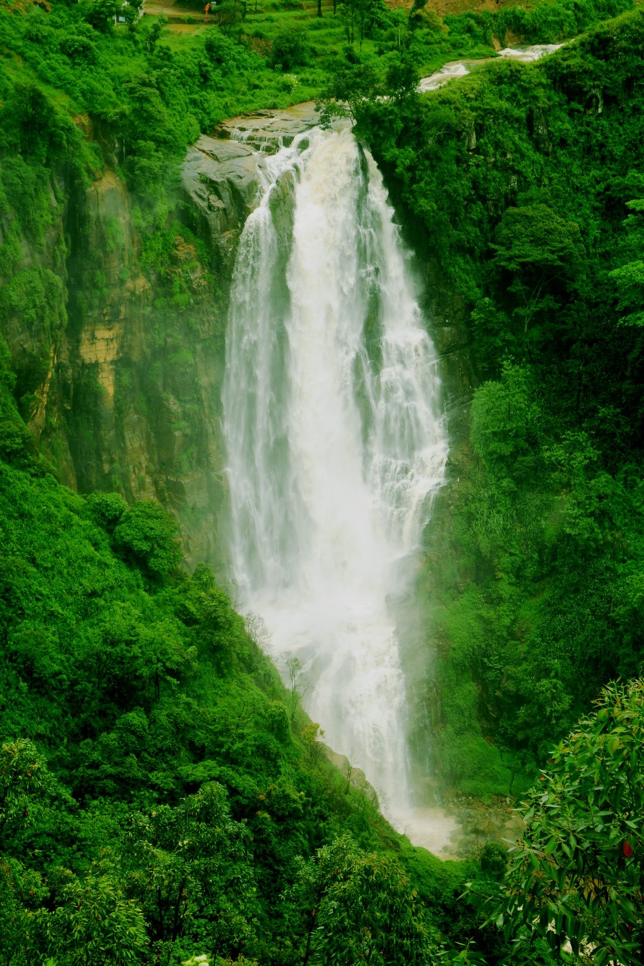 Nuwara Eliya → Bentota
