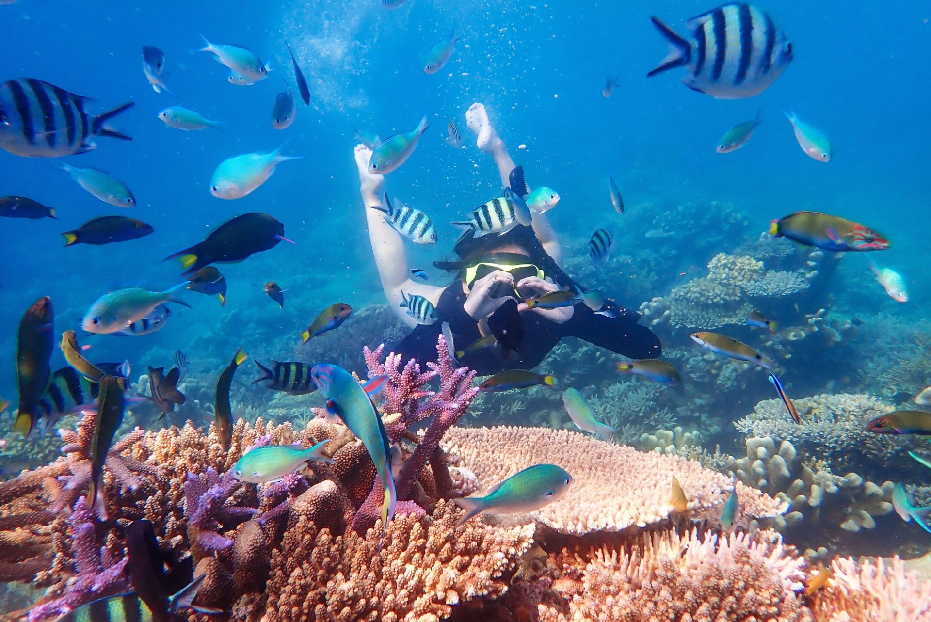 Port Blair tour packages