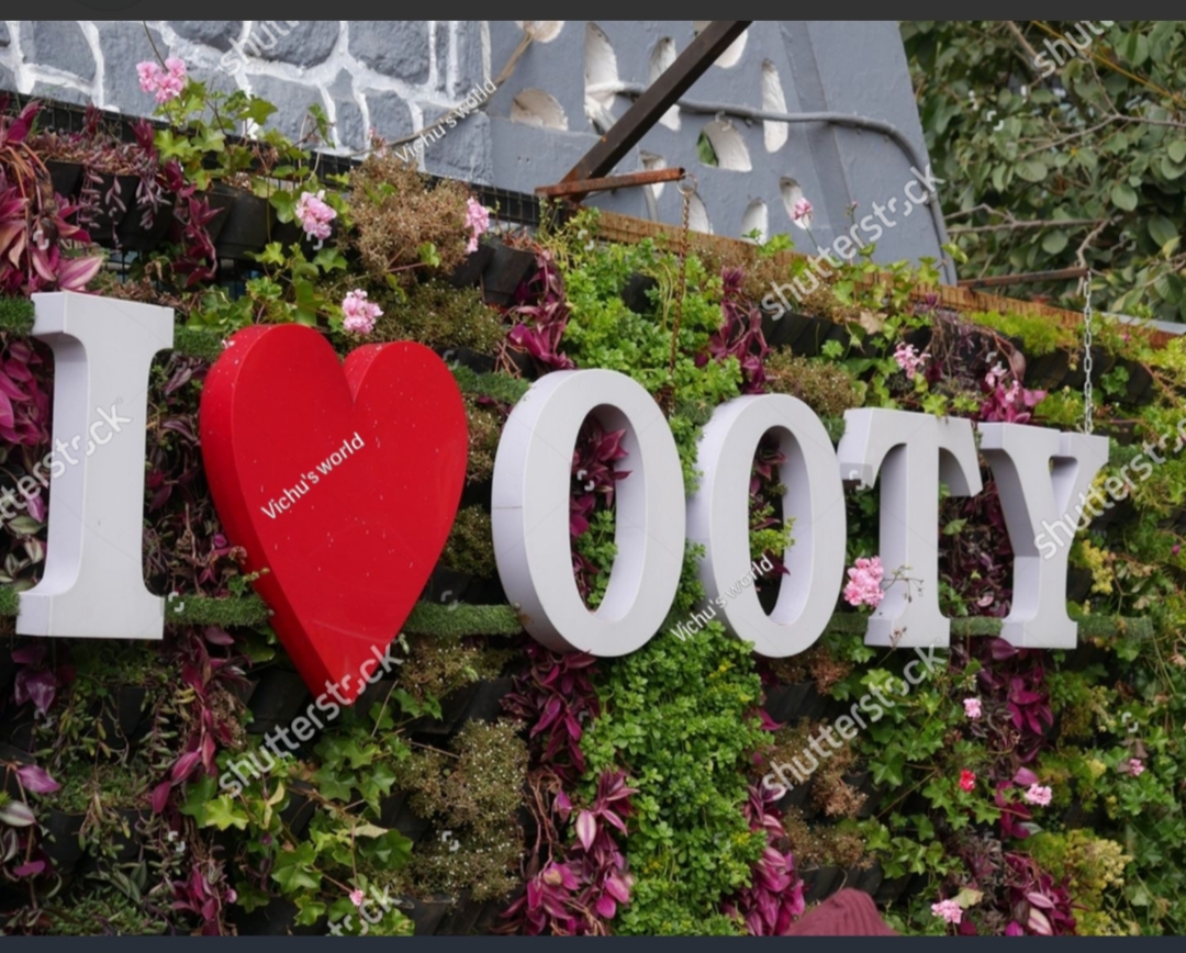 Mysore to Ooty package — photo 2