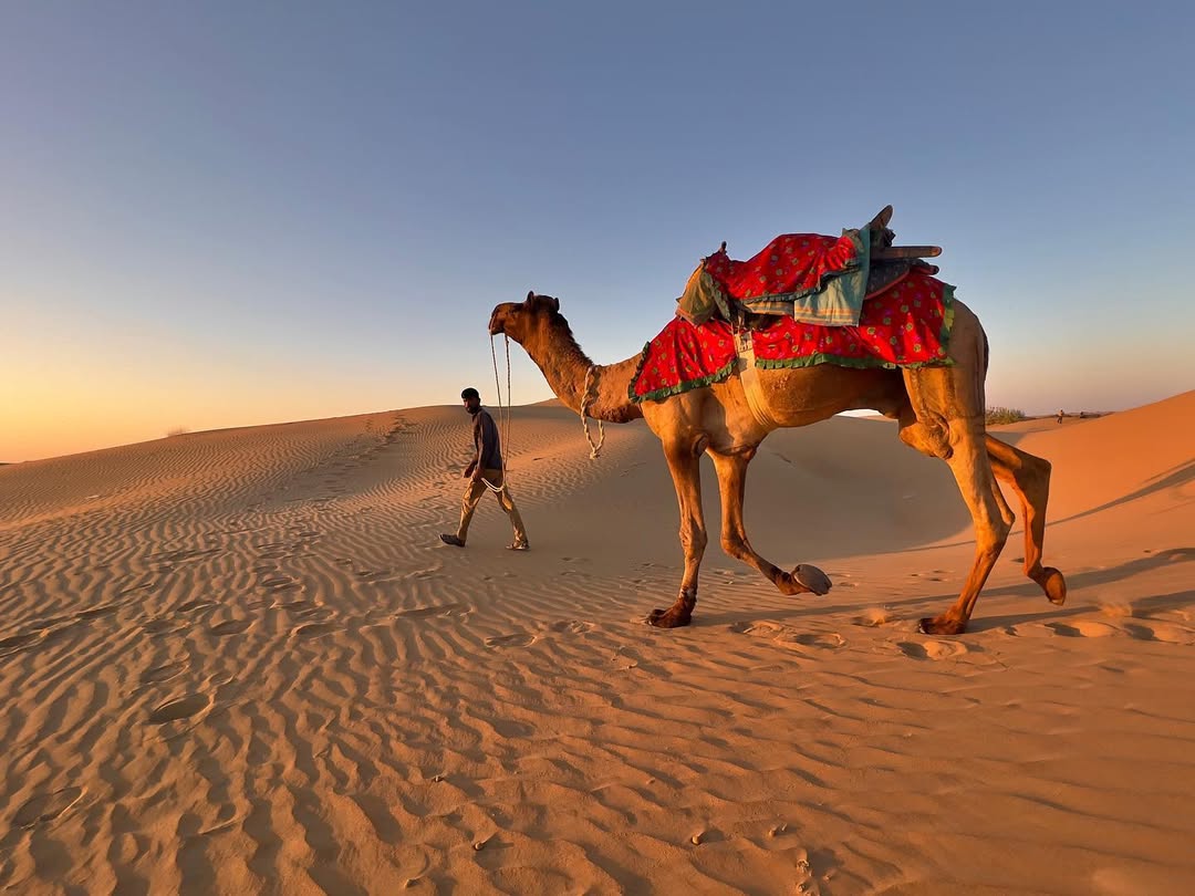 Desert Tour