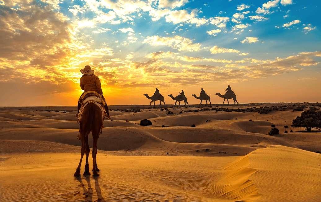 Royalty in Rajasthan โ 6 Nights / 7 Days โ photo 2