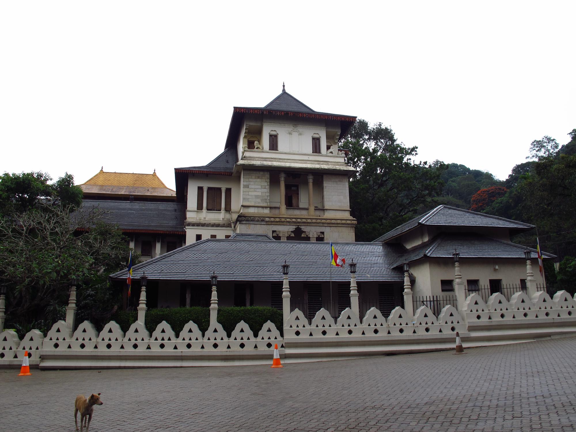 SENIOR SPECIAL - Discover SRI LANKA's Elegance in 10 Days / 9 Nights — photo 5
