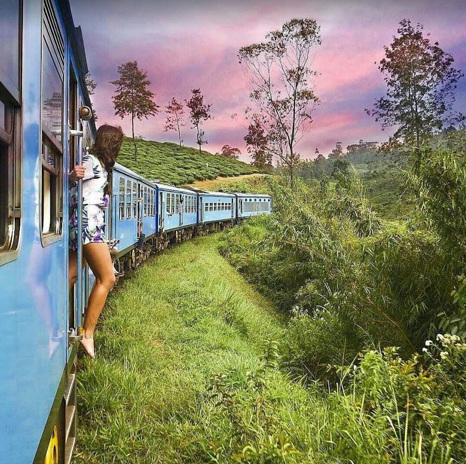 SENIOR SPECIAL - Discover SRI LANKA's Elegance in 10 Days / 9 Nights — photo 8