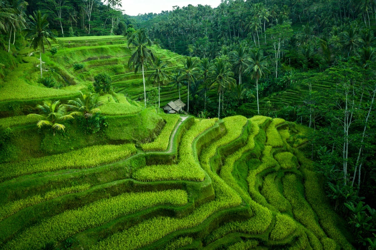 Discover Bali's Soul