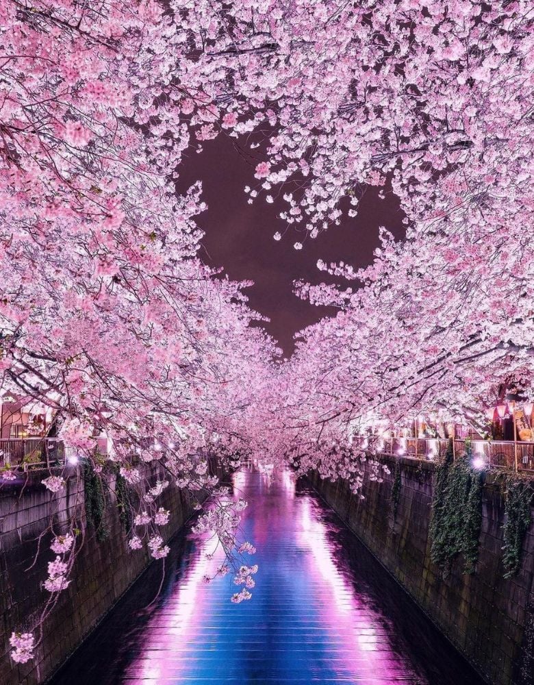 Japan tour packages