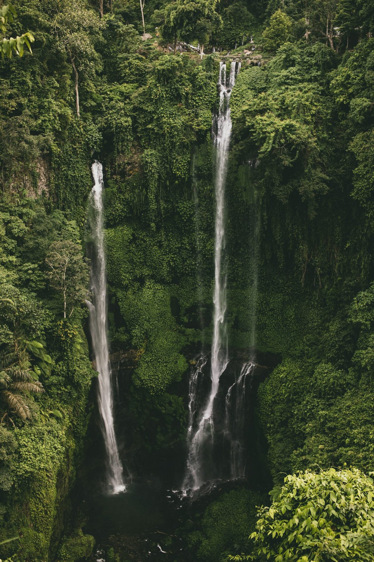 Bali Escape — photo 4